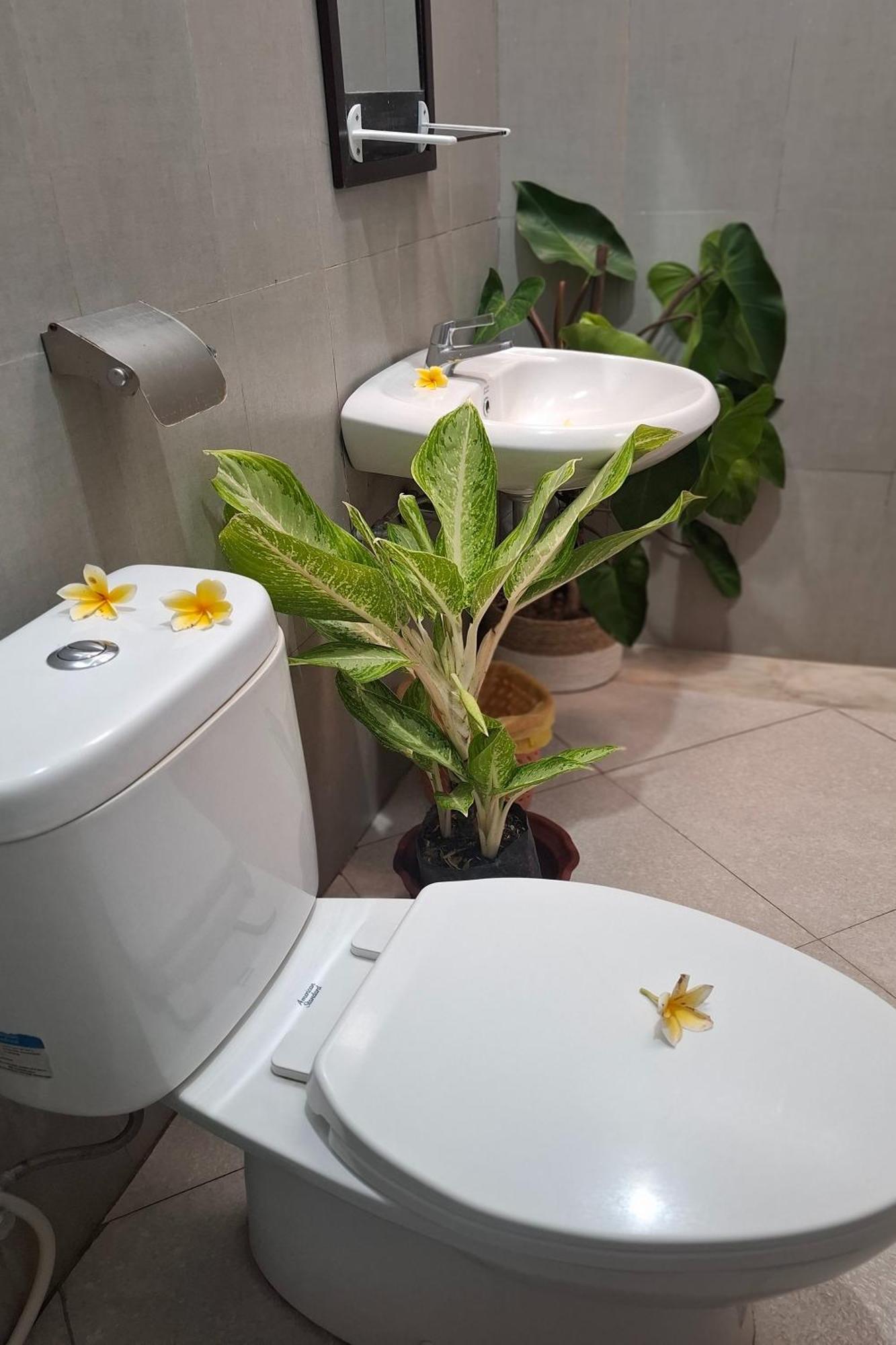 日惹民宿 外观 照片